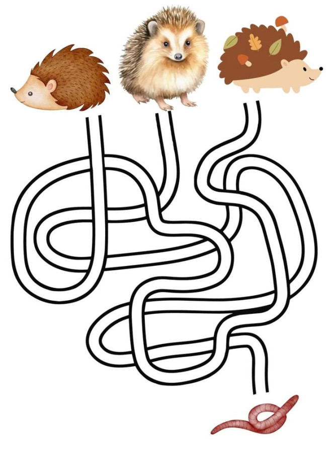 stiahnut 15