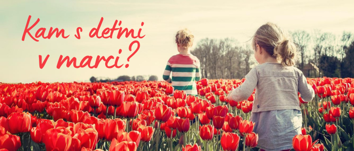 Banner 700x300 1