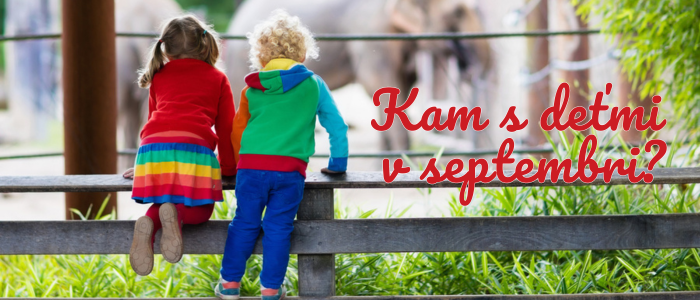 Banner slider 11