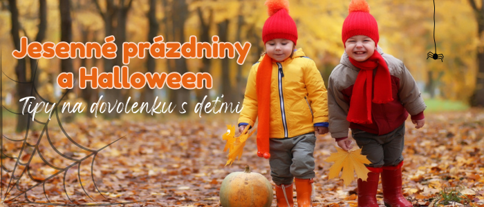 banner 700x303