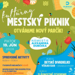 kulturny mestsky piknika4