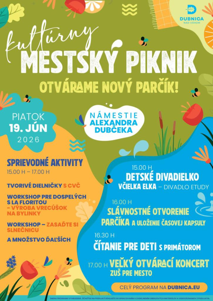 kulturny mestsky piknika4