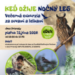 Terenna exkurzia za lelkami a sovami