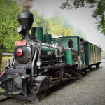 e img 10837
