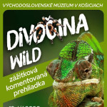 l web kome divocina