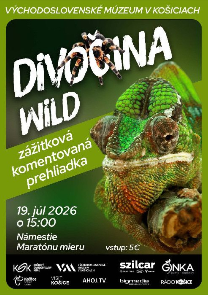 l web kome divocina