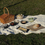julia s picnic 4784034 640 1