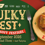 l 16to9 hulkyfest26