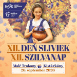 l 1to1 densliviek263
