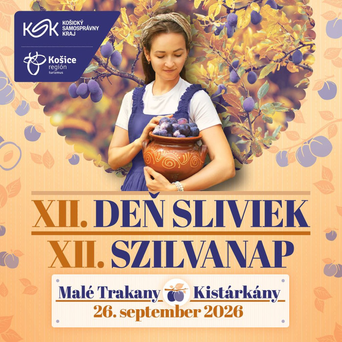 l 1to1 densliviek263
