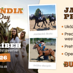 bubolandia event 1024x450