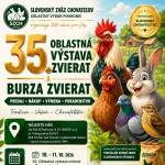 FB IMG 1791543089157
