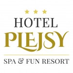 logo plejsy