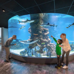 Haibecken HdM Daniel Zupanc