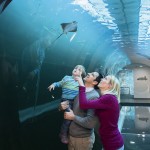 atlantiktunnel zupanc 34 2