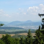 DSCN8341