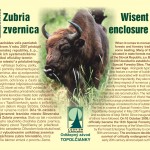 zubor 00