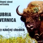 zubor 1