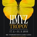 hmyz