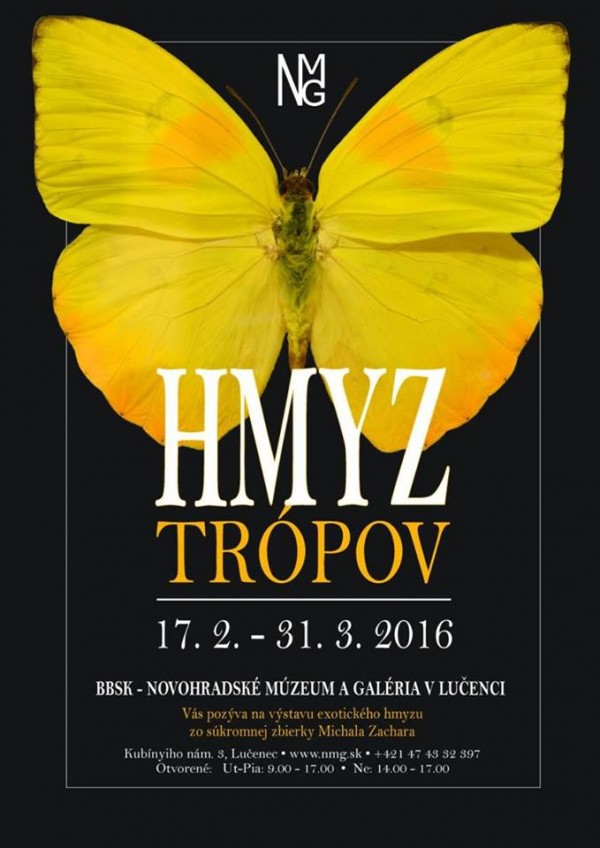 hmyz