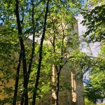 IMG 7875