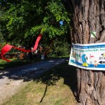 cesta rozpr lesom smolenice 1