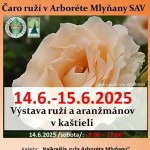 FB IMG 1749851676082
