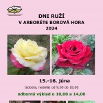 dni ruzi 20241