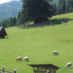 DSCN1028