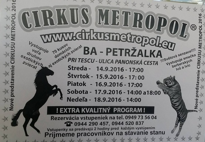 14233754 10209420729171815 1937186862 o