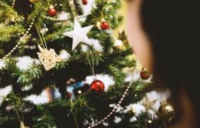 ResizedImage600400 blur branch celebration 230742