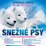 snezne psy A21