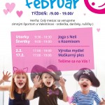 program a3 februar 2017