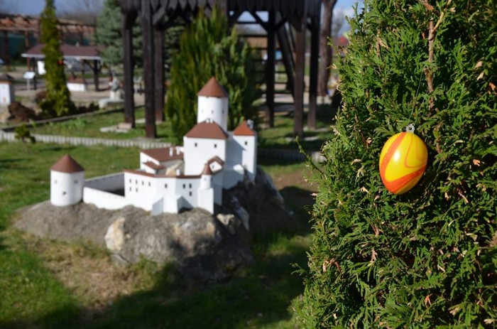 17098684 1273663466050092 7133582041407789399 n