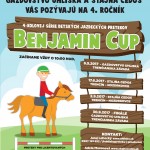 benjamin cup