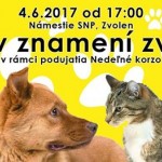 zvierakorzo