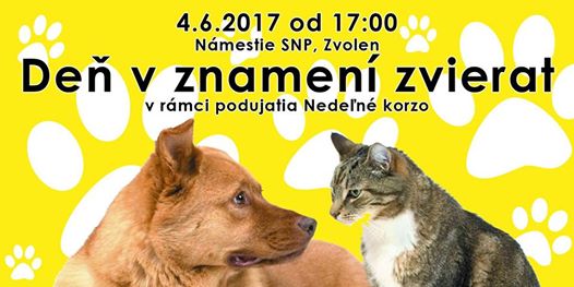 zvierakorzo