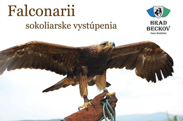 Falkonarii sokoliarske vystupenia