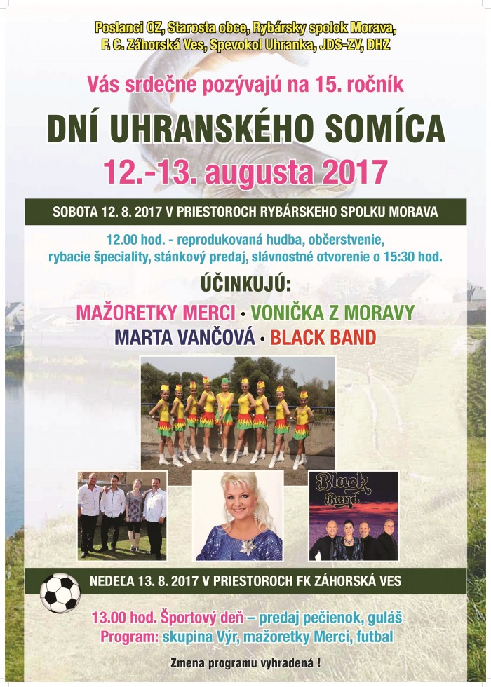 somic plagat 2017 page 0