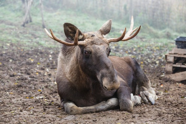 zoozveropark