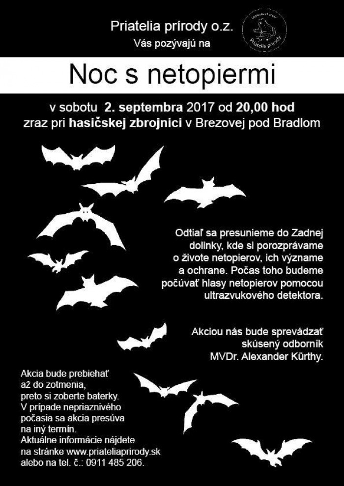 20621144 1493139617447133 3721204658534417453 n