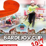 bardejov cup