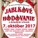 JH 2017 A2 vseob