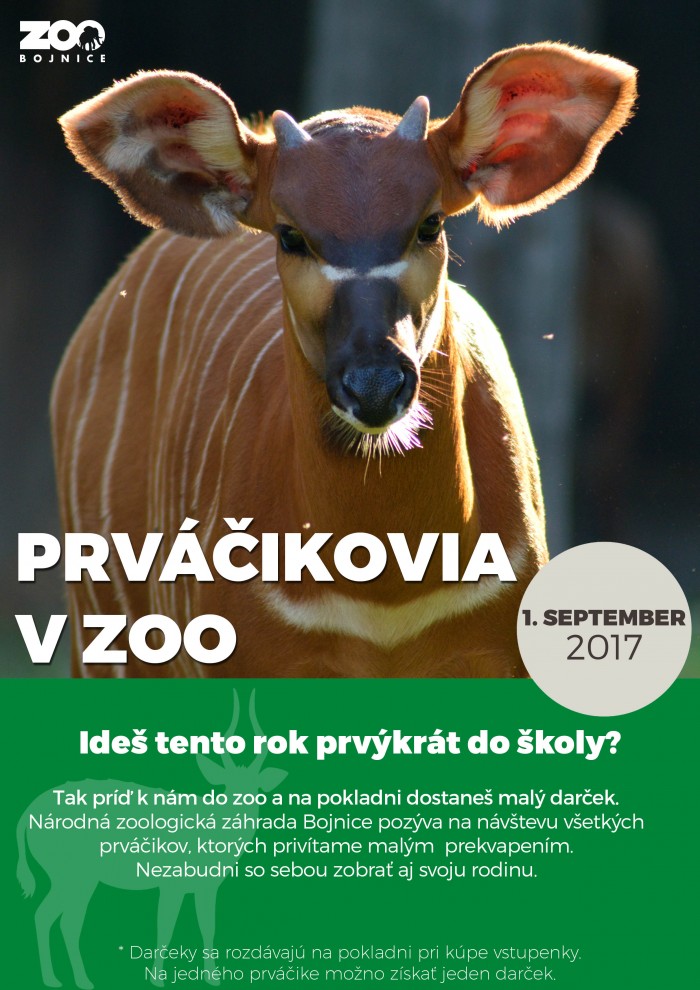 prvacikovia v zoo 2017