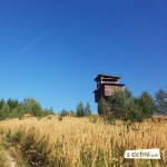 2017 08 29 16.13.48