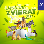 festivalpo