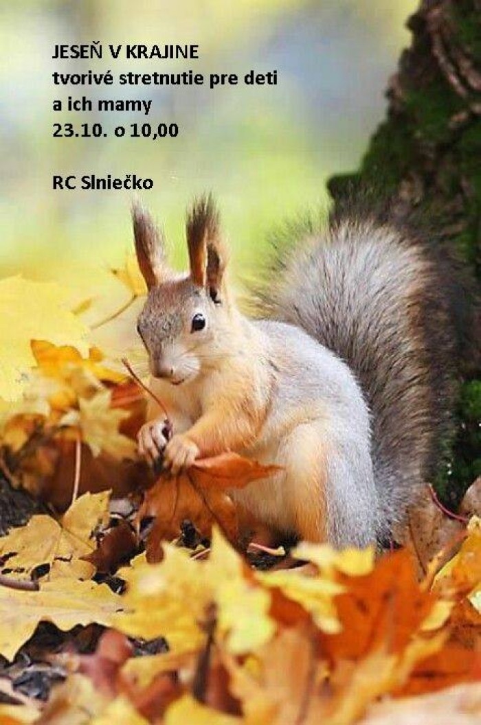 22491976 1741825195827489 4629124761753264630 n