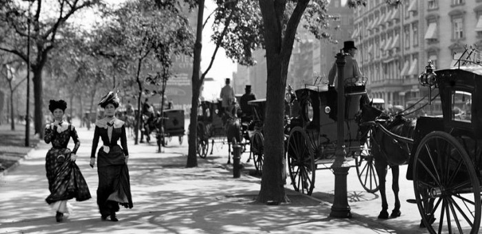 22687945 1731985313762634 5708262821756384711 n