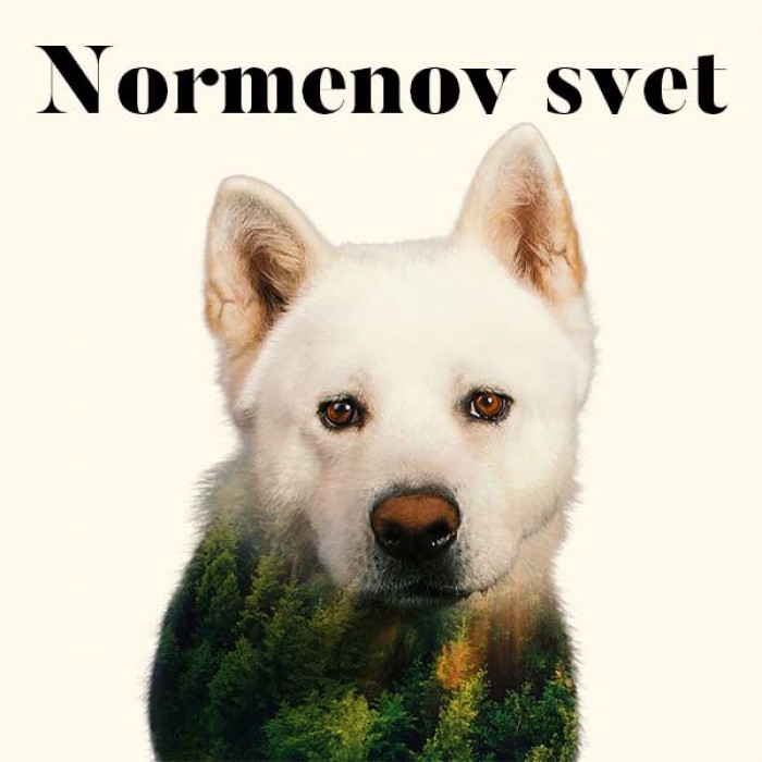 orig Normenov svet divadlo duha 201792295645