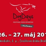 dogdays